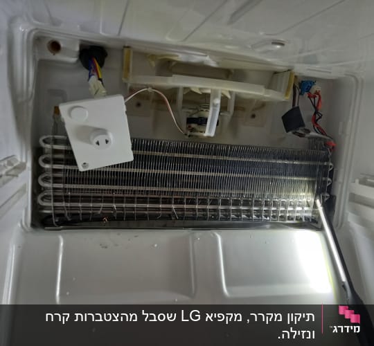סליל קירור ומאוורר בתוך מקרר